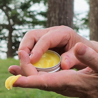 Scooping Wyldflower Apothecary herbal salve from the tin